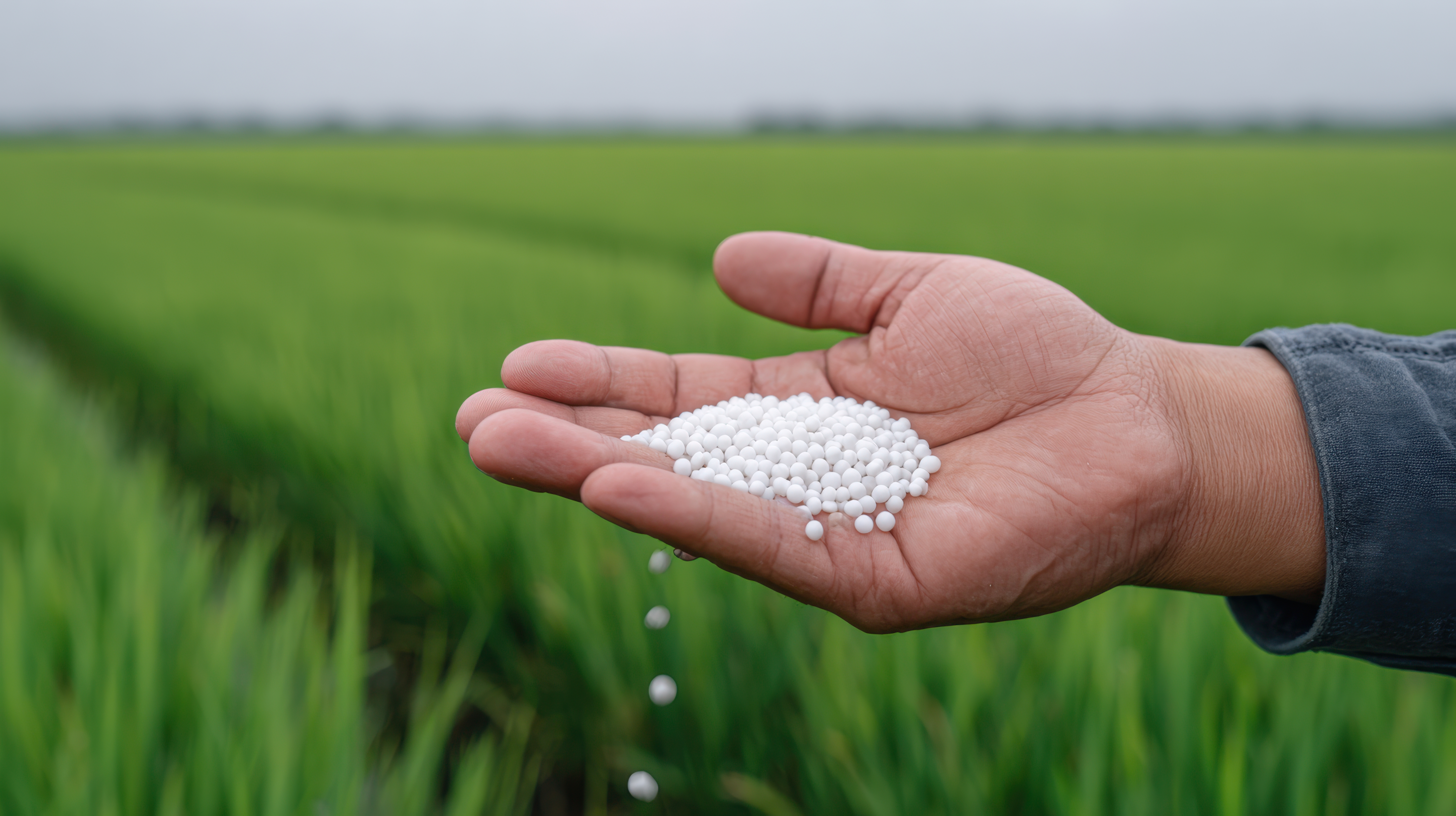 Urea Granules